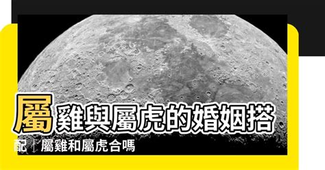 屬雞和屬虎合嗎|2025雞虎合嗎？深度解析十二生肖配對